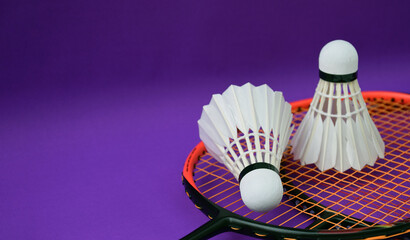 White cream badminton shuttlecocks, badminton rackets on purple floor of indoor badminton court, soft and selective focus on shuttlecock, concept for badminton sport lovers around the world © Sophon_Nawit