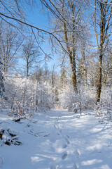 Winterzauber im Norden der Tschechischen Republik- Schluckenauer Zipfel