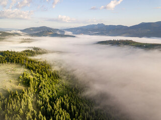 Fog envelops the mountain forest. The rays of the rising sun break through the fog. Aerial drone view.