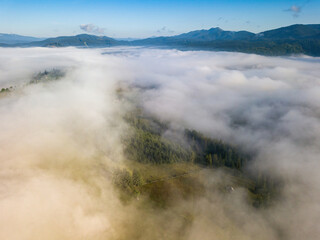 Obraz premium Foggy summer morning in the Ukrainian Carpathians. Aerial drone view.