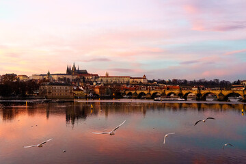 Obraz premium Prag, Tschechien, mit fliegenden Möwen in der Abenddämmerung; Stadtansicht Prag mit der Moldau und der Karlsbrücke und der Prager Burg im Hintergrund