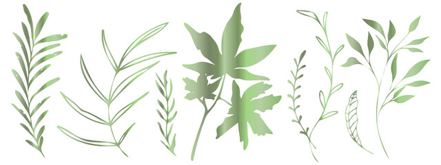 Fototapeta na wymiar Vector plants and grasses in green style with shiny effects. Minimalist style. Hand drawn plants. With leaves and organic shapes. For your own design.