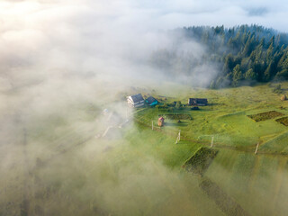 Fototapeta premium Morning mist in Ukrainian Carpathian mountains. Aerial drone view.