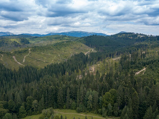 Green mountains of Ukrainian Carpathians in summer. Coniferous trees on the slopes. Aerial drone view.