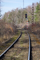 Torowisko kolejowe, zelektryfikowane z świetlną sygnalizacją kolejową w Polsce. Słup sygnalizacyjny z 5 światłami. Tory biegną przez las.