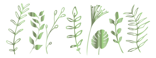 Vector plants and grasses in green style with shiny effects. Minimalist style. Hand drawn plants. With leaves and organic shapes. For your own design.