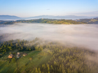Morning mist in Ukrainian Carpathian mountains. Aerial drone view.