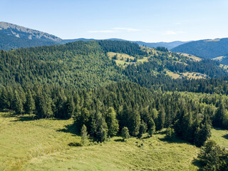 Green mountains of Ukrainian Carpathians in summer. Sunny clear day. Aerial drone view.