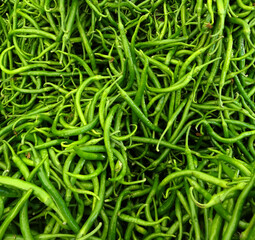 Organic green peppers on a farmers market stall in Istanbul, Turkey. 