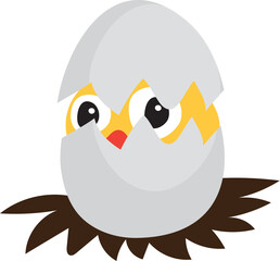 newborn, chick, livestock, poultry, single, baby, close