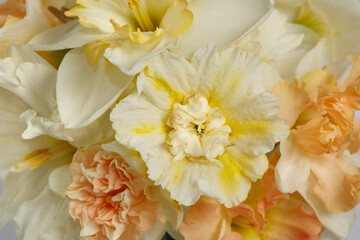 Floral wallpaper delicate bouquet of daffodils, macro.