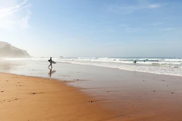 View to Praia do Amado, Beach and Surfer spot near Sagres and Lagos, Costa Vicentina Algarve Portugal - 493079443