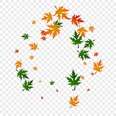 Brown Maple Background Transparent Vector. Foliage Design Card. Ocher Canadian. Ground Pattern. Gold Leaf November.