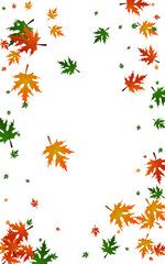 Golden Foliage Background White Vector. Maple October Frame. Brown Ground. Abstract Illustration. Green Leaves Flag.