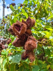teddy bear with flowers