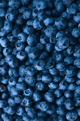 Fresh blueberry background. Texture blueberry berries close up.