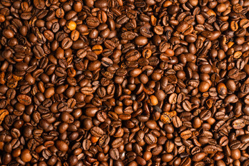 Fototapeta premium Coffee beans on a white background. Top view.
