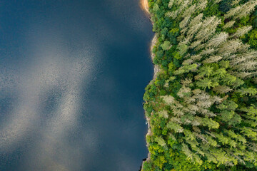Top view of the green forest on the river bank with dark blue water and reflected sky