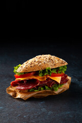Sandwich with salami and cheese in a multi-grain roll. Dark mood.