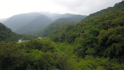 beautiful landscape with green mountains and jungle in northwest Argentina