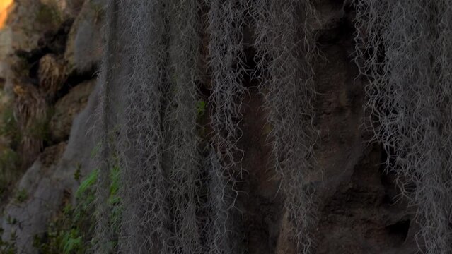 Beautiful landscape of the rocks of Suesca Colombia