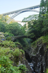 緑の風景