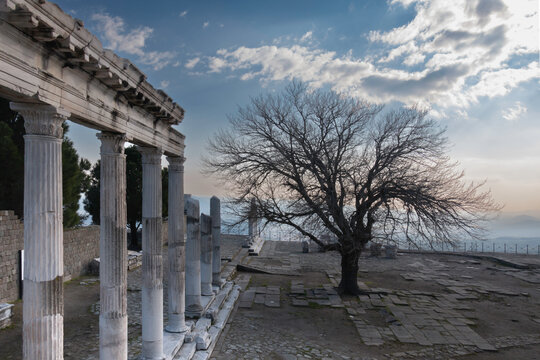 03 March 2019 Pergamon Izmir The area where the remains of Pergamon were found in the province of Izmir, Turkey. The capital of the kingdom of Pergamon is Pergamon