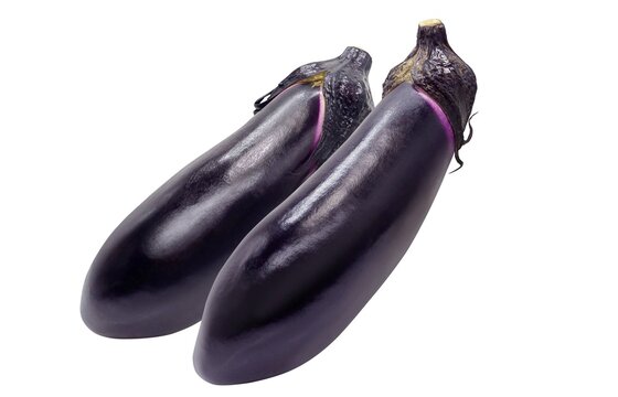 茄子 Images Browse 12 0 Stock Photos Vectors And Video Adobe Stock