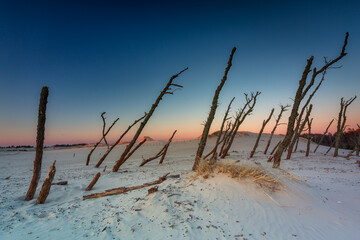 Beautiful scenery of sand dunes in the Slowinski National Park at sunset, Leba. Poland
