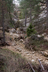 Los Ports Natural Park