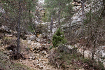 Los Ports Natural Park