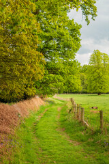 Fototapeta na wymiar English countryside path