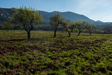 Matarranya, Teruel province. Spain