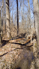 Spring River