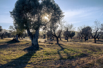 Matarranya, Teruel province. Spain