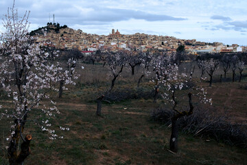 Matarranya, Teruel province. Spain