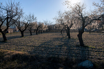 Matarranya, Teruel province. Spain