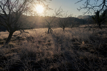 Matarranya, Teruel province. Spain