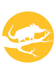 Silhouette Baum Opossum 