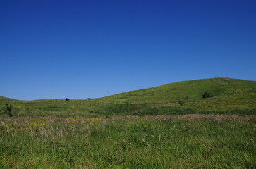 自然の風景