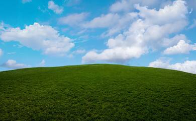 Green grass and blue sky with white clouds