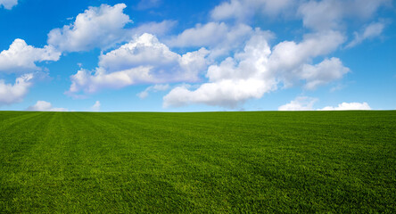 Green grass and blue sky with white clouds