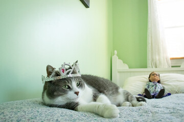 Gray and White Tabby Cat with a Tiara Crown on Her her  head lying on a bed