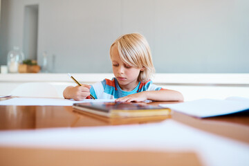 Fototapeta na wymiar Early start to the academic world. Shot of an adorable little boy doing his homework at home.