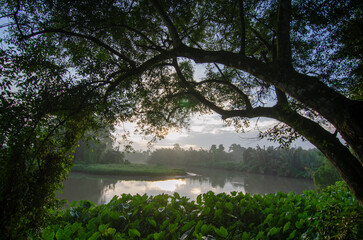 Green scenery of Malaysia rainforest and river