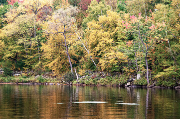 Forgotten Stone Wall