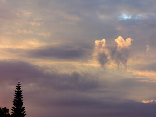 Tree and siamese clouds