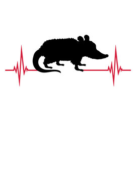 Puls Opossum Herzschlag 