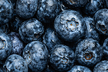 Closeup of blueberries with water droplets