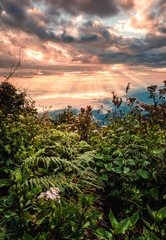 Dramatic sunrise over mountain with foggy in tropical rainforest at national park
